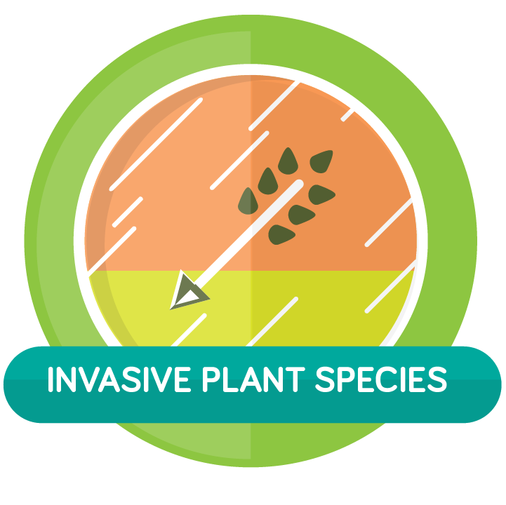 TREC-icons-invasive-plant@2x