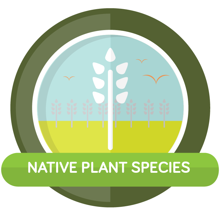 TREC-icons-native-plant@2x