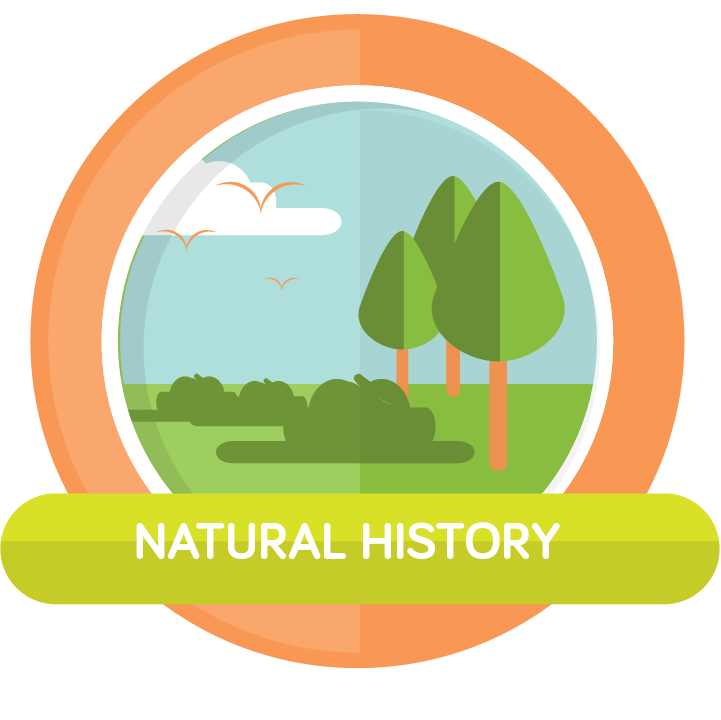 TREC-icons-natural-history@2x
